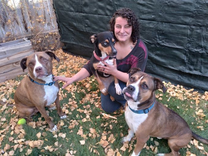 ERIKA 
Se Habla Espanol 
Pet First Aid & CPR Certified 

******************************
Hi, I'm Erika. I recently married the love of my life and I'm a third generation Elko native. Most importantly however, I love my job! I have a wide range of interests and animals top the list. I've spent more than half my life in animal services, acquiring a wealth of information on shy, timid, scared pets, as well as administering medications. There's always something new to learn as every home and pet is unique. I have two dogs of my own and couldn't imagine a single day without a furry(feathered or scaled) friend. I can't wait to meet yours!