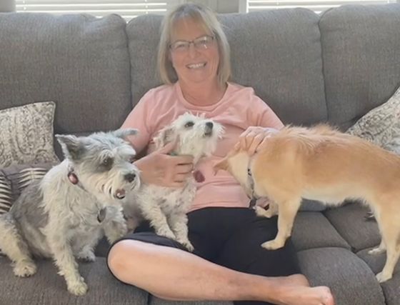 Shelly 

Shelly is a mother of two wonderful daughters and Grandmother to 6 adorable grandchildren She is retired from Social Work and Administration in the Medical field She loves animals and nature